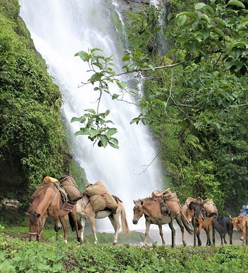 Economy & Biodiversity