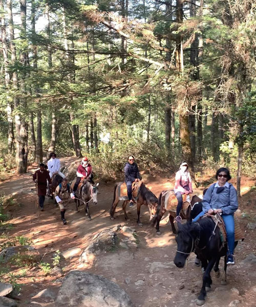 Pony Ride to Tiger's Nest, Bhutan