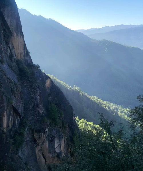 Magnificent Tiger Nest